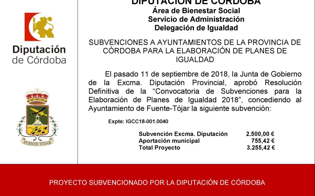 Subvención recibida dentro de la Convocatoria de Subvenciones para la Elaboración de Planes de Igualdad 2018 de la Diputación de Córdoba 1