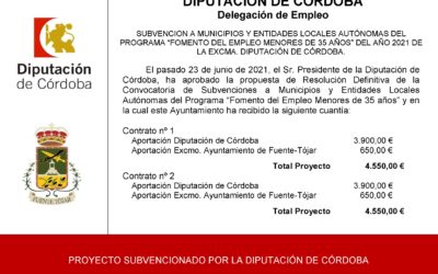 El Ayuntamiento ha recibido una subvención dentro del Programa «Fomento de Empleo Menores 35 años» del año 2021