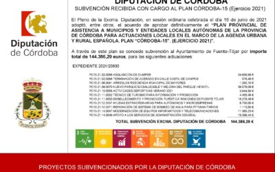 Recibida subvención por parte de la Diputación Provincial de Córdoba dentro de la Convocatoria del Plan Córdoba-15 2021