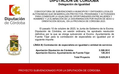 El Ayuntamiento recibe una subvención de la Diputación de Córdoba, para la contratación de un/a Técnico/a Especialista en Igualdad, Ejercicio 2023